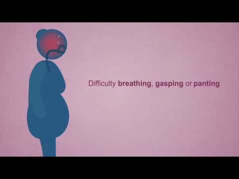 7 Symptoms Every Pregnant Woman Should Know